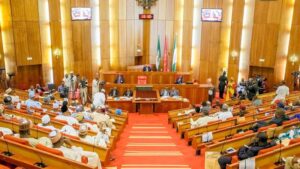 Senate Passes National Research and Innovation Council (NRIC) Establishment Bill