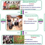 My Deep Knowledge of NABDA Helping Me To Reposition and Deliver on Agency’s Mandate – Alex Akpa